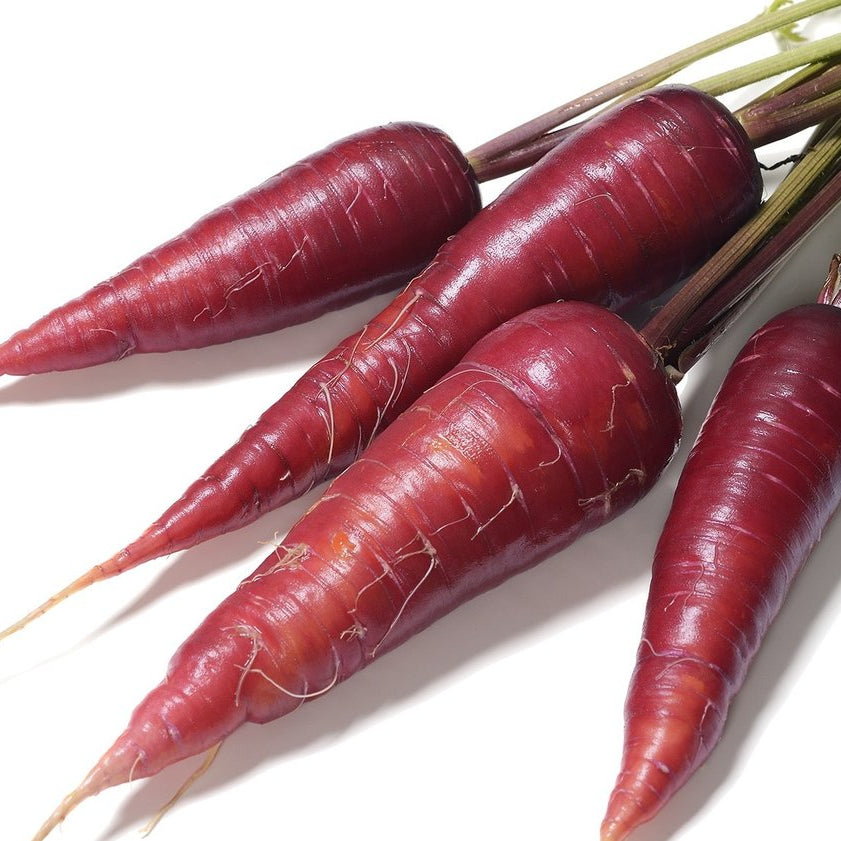 แครอทม่วง