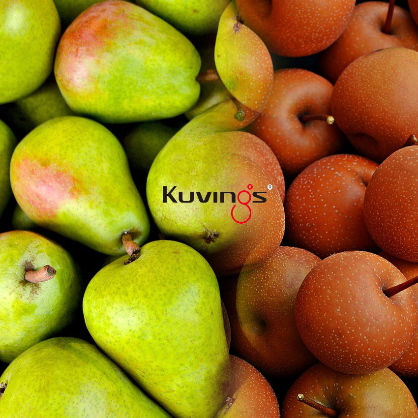 āļāļ§āļēāļĄāđāļāļāļāđāļēāļāļāļāļāļĨāļđāļāđāļāļĢāđāđāļĨāļ°āļĨāļđāļāļŠāļēāļĨāļĩāđ