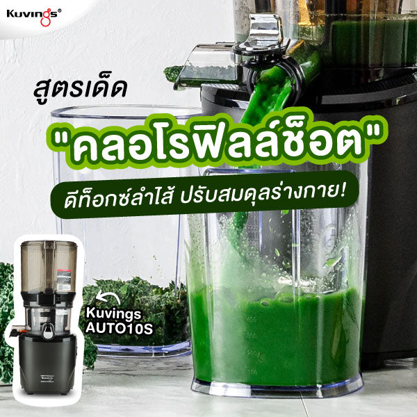 🌿 สูตรเด็ด "คลอโรฟิลล์ช็อต" ดีท็อกซ์ลำไส้ ปรับสมดุลร่างกาย! 💚